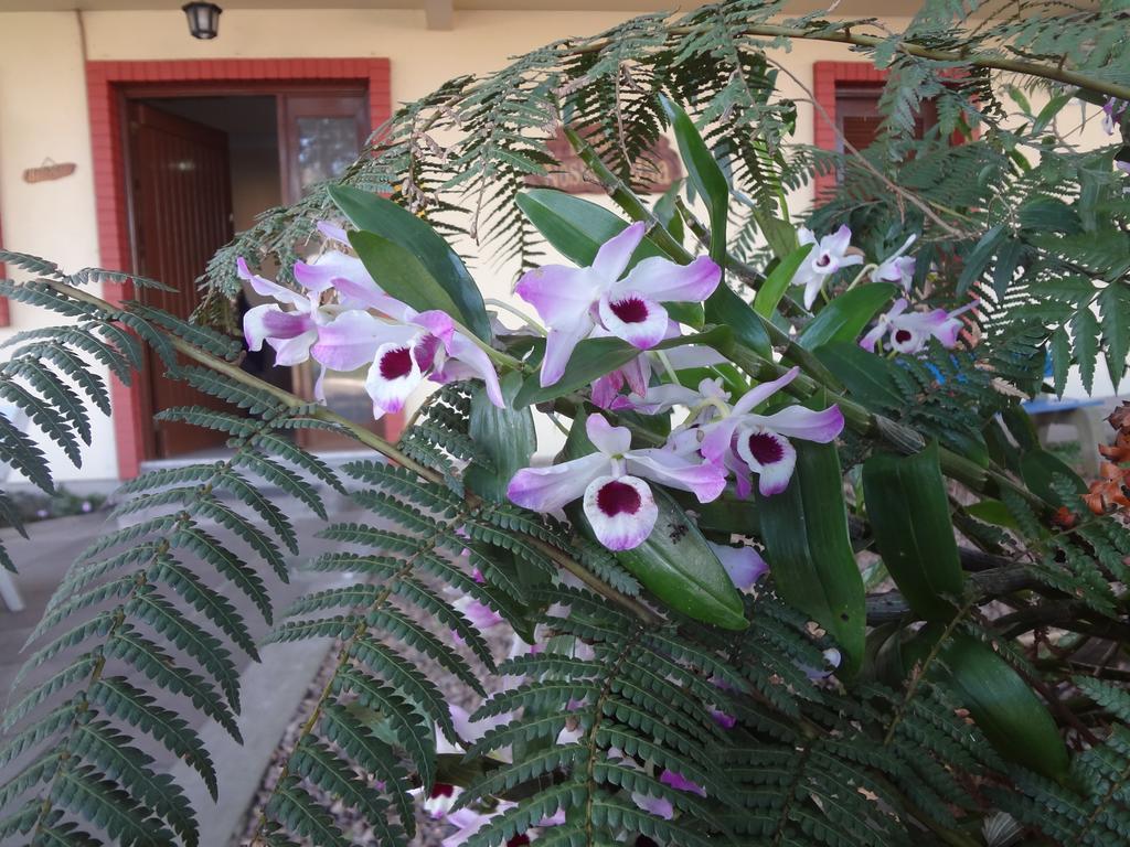 גראמדו Pousada Floratta Nossa Casa מראה חיצוני תמונה